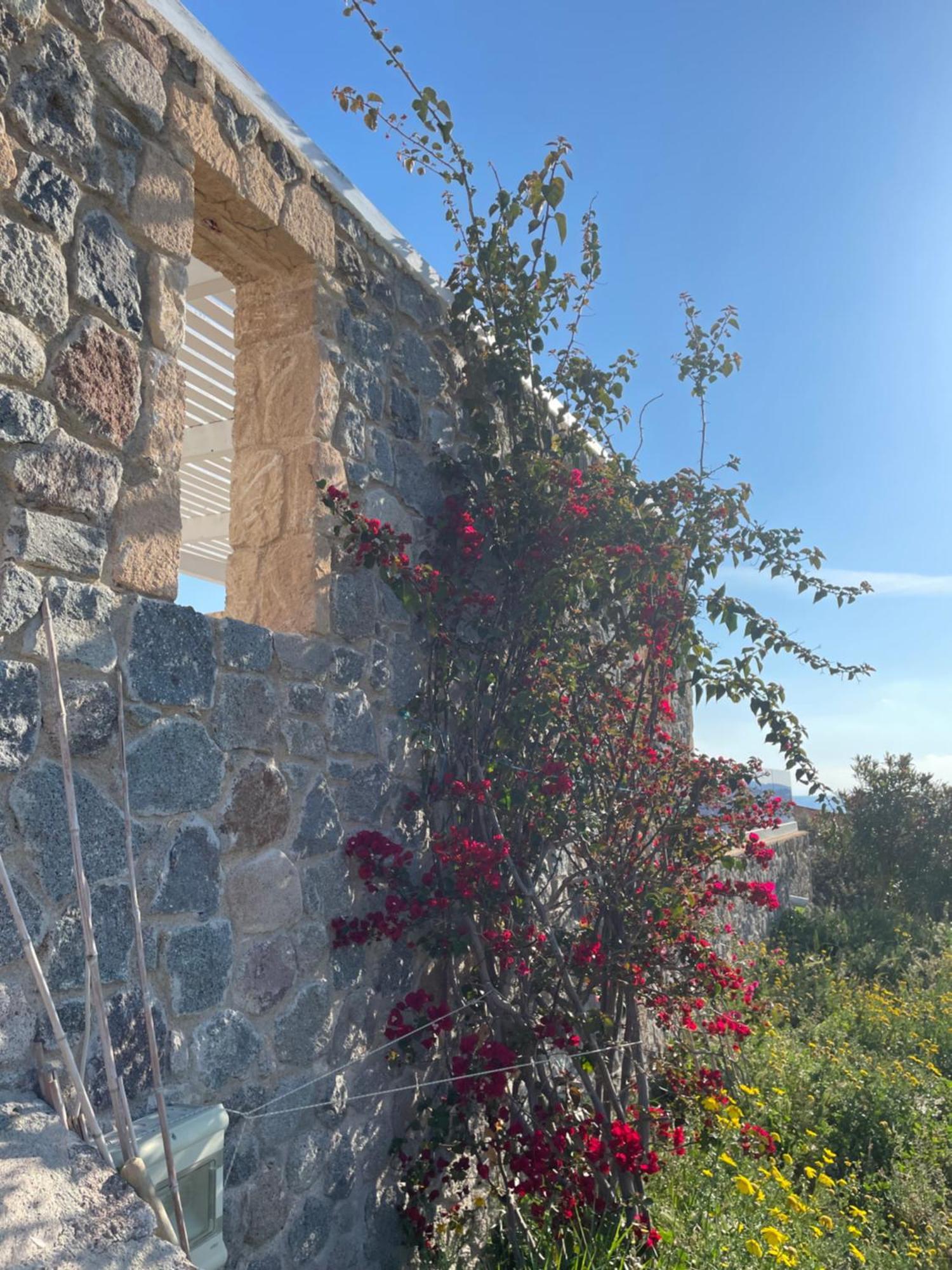 Souvala /Aegina. Excellent Location Luxury Villa. Βαθύ Εξωτερικό φωτογραφία